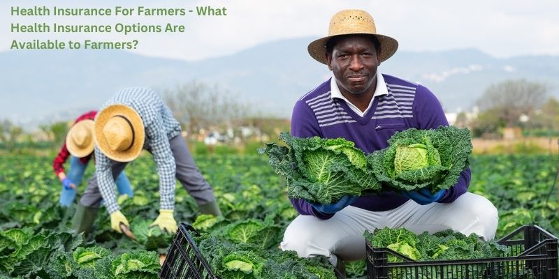 Health Insurance For Farmers - What Health Insurance Options Are Available to Farmers?